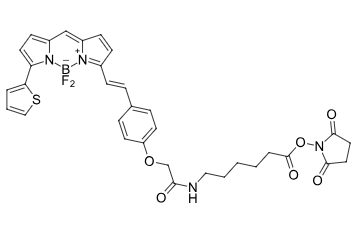 BDP 630/650 X NHS-Ester