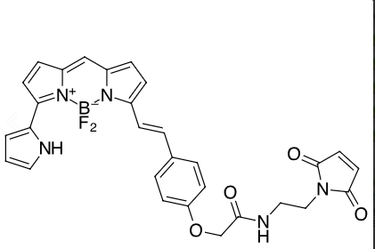 BDP 650/665 maleimide