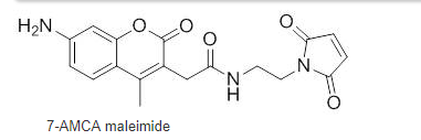 7-AMCA maleimide