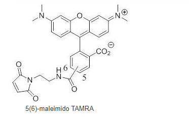 5(6)-TAMRA-maleimide