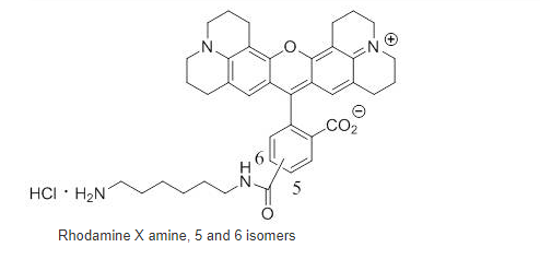 ROX amine