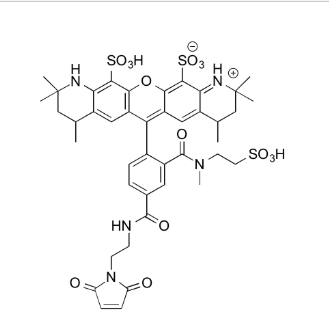MB 543 Maleimide
