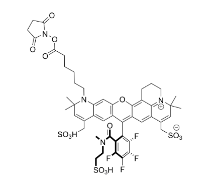 MB 633 NHS Ester