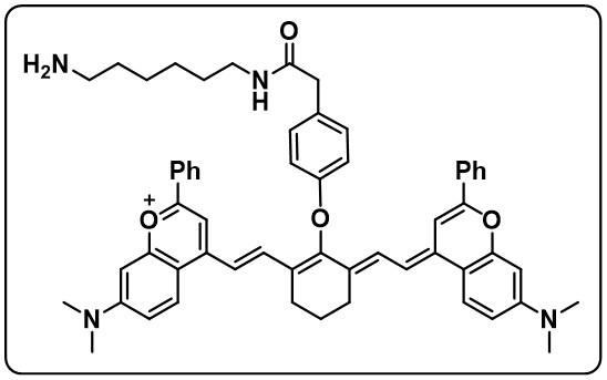 Flav7-NH2