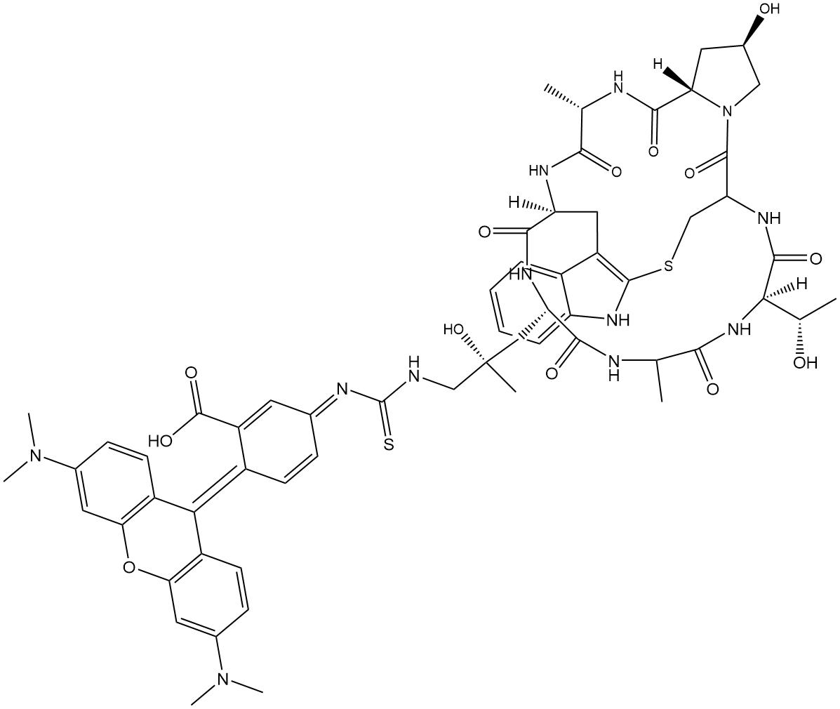 Phalloidin-TRITC,Cas:915013-10-4