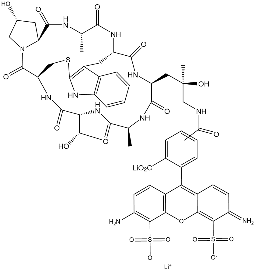 Phalloidin-TFAX 488,cas:289620-19-5