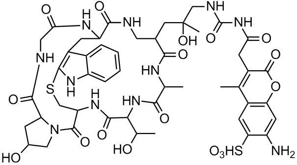 BF 350 Phalloidin