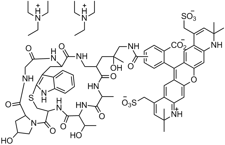 BF 568 Phalloidin