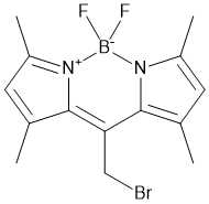 meso-CH2Br-BODIPY,cas:216434-81-0
