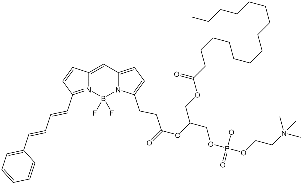 BODIPY 581-591 C3-HPC