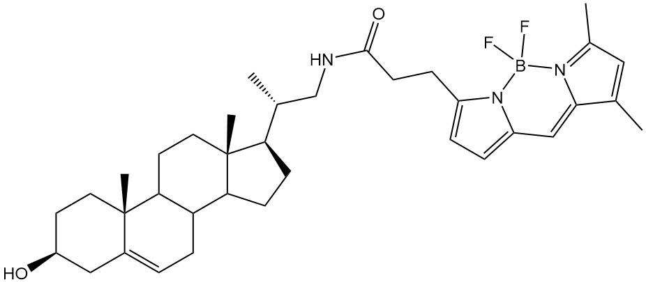 BODIPY FL Cholesterol