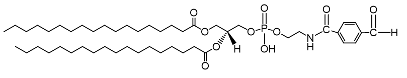 DSPE-Aldehyde