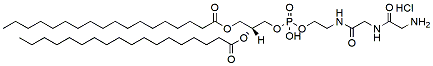 Amino-Gly-Gly-DSPE
