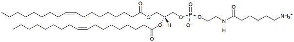 18:1 Caproylamine PE CAS:110796-31-1