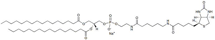 16:0 Biotinyl Cap PE CAS:384835-52-3