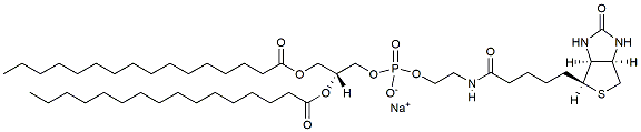 16:0 Biotinyl PE CAS:384835-54-5