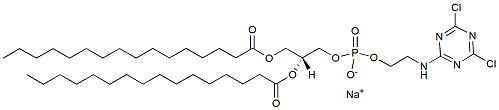 16:0 Cyanur PE CAS:1246304-37-9