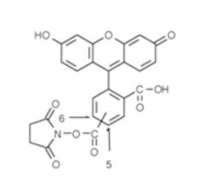 5(6)-FAM, SE,cas:117548-22-8