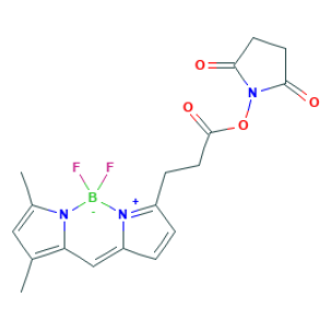BDP FL NHS ester