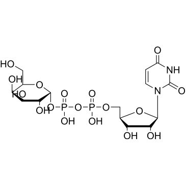 UDP-Galactose CAS: 2956-16-3