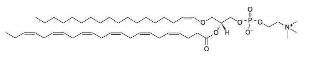 C18(Plasm)-22:6 PC CAS:799268-64-7