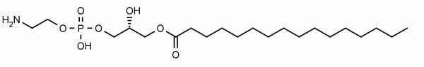 16:0 LysoPE (LPE) CAS:53862-35-4