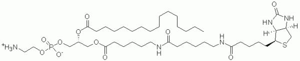 Biotin-Phosphatidylethanolamine