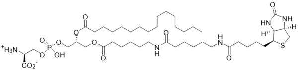 Biotin-Phosphatidylserine