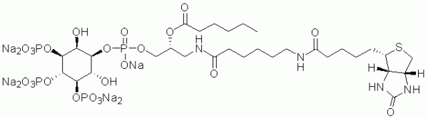 GloPIPs Biotin-PI(3,4,5)P3