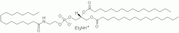 N-palmitoyl-DPPE (NAPE 16:0) CAS:57984-41-5