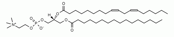 PLPC (16:0/18:2 PC) CAS:17708-90-6