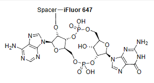 2-3-cGAMP-iFluor 647 conjugate