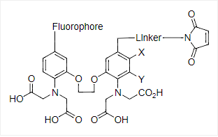 Cal-520L™ maleimide