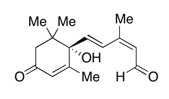 (±)-Abscisic Aldehyde CAS 41944-86-9
