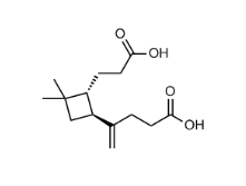 b-Caryophyllinic Acid CAS:957055-11-7