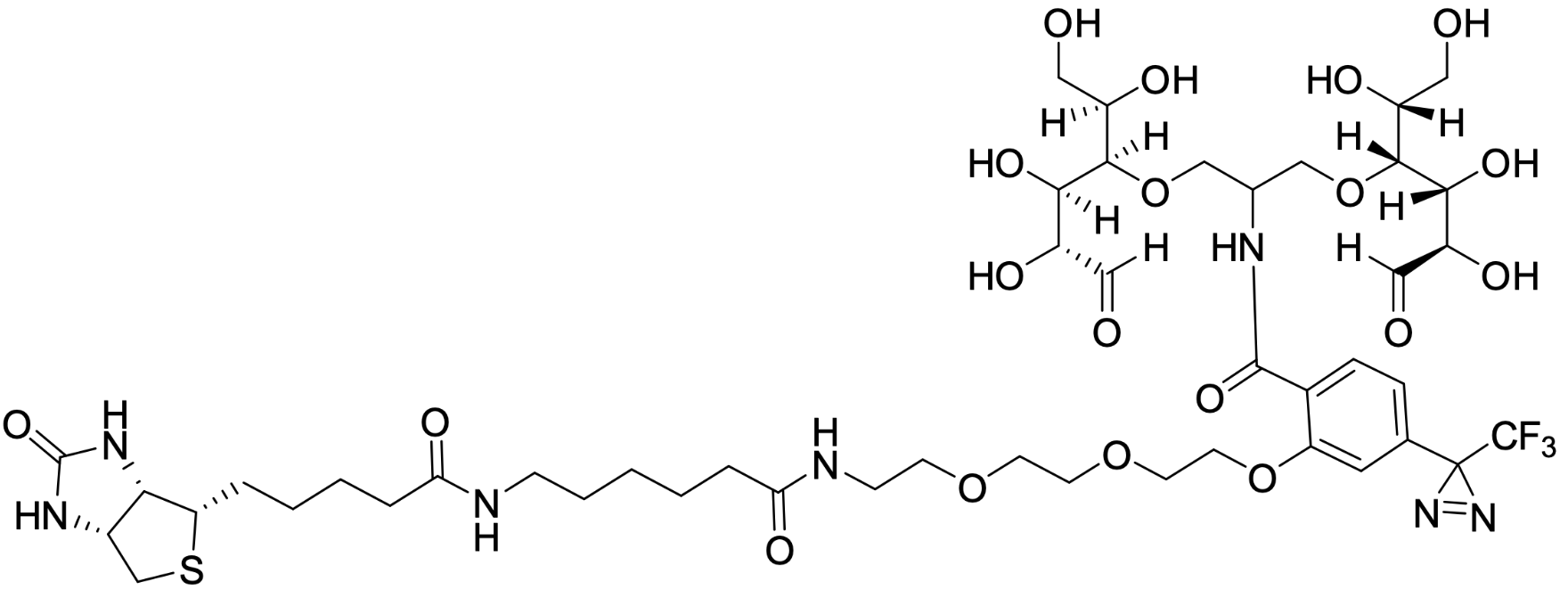 Biotinylated Photolabeling Reagent (bio-LC-ATB-BGPA) CAS:340293-00-7