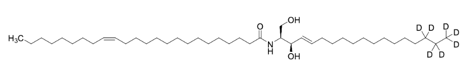 C24:1 Ceramide-d7 CAS:1840942-16-6