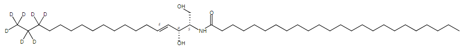 C24 Ceramide-d7 CAS:1840942-15-5