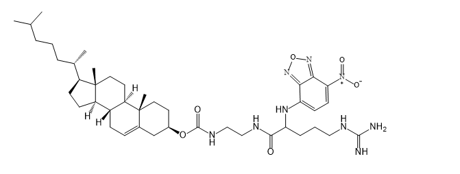 Cholesterol-arginine-NBD