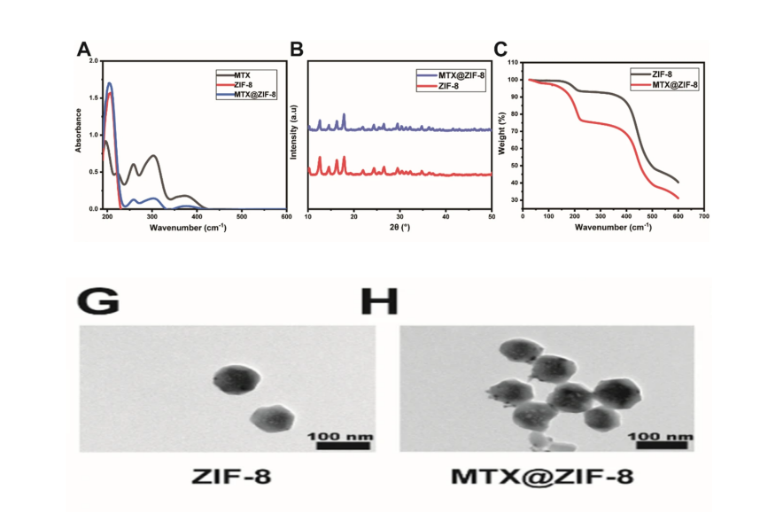 MTX@ZIF-8 nanoparticles