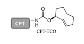 CPT-TCO
