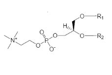HSPC,cas:92128-87-5