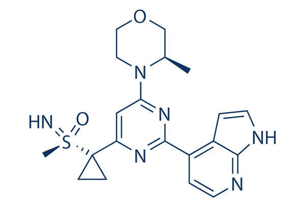 Ceralasertib (AZD6738) CAS:1352226-88-0