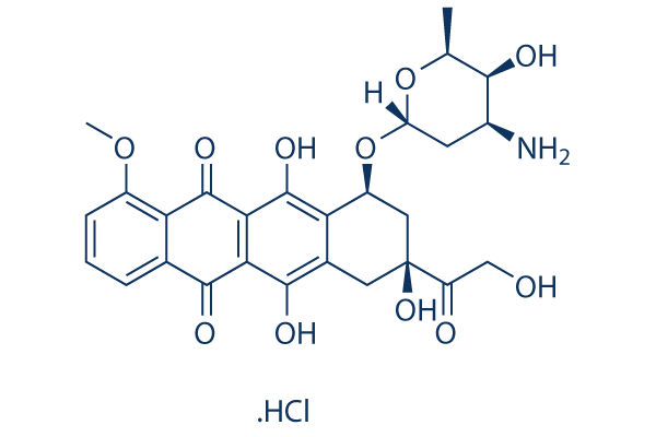 Doxorubicin (Adriamycin) HCl CAS:25316-40-9