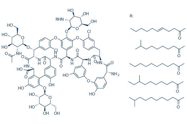 Teicoplanin CAS:61036-62-2