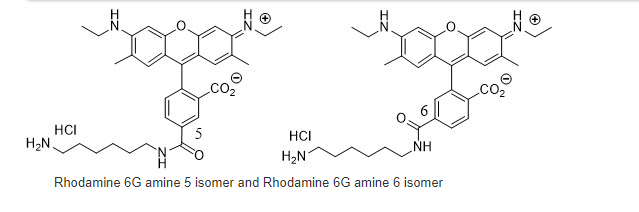 5(6)-Rhodamine 6G amine
