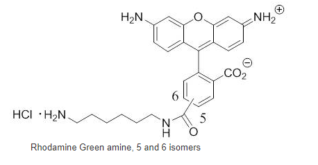 5(6)-Rhodamine Green amine
