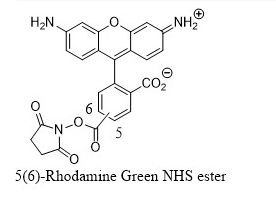 5(6)-Rhodamine Green NHS ester