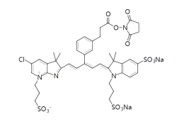 IRDye® 680RD NHS Ester