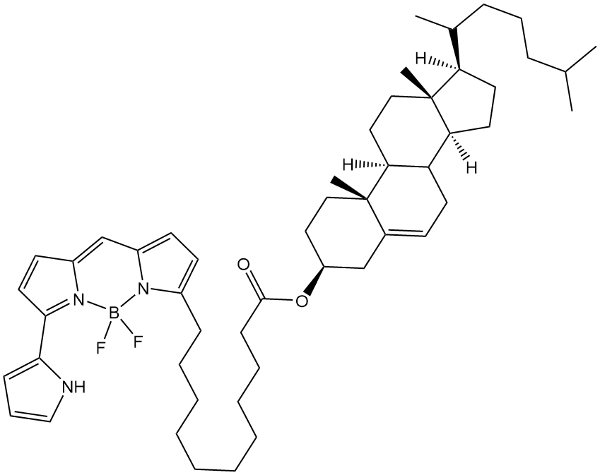 Cholesteryl BODIPY 576/589 C11